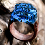Enchanted forest